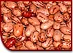 Haricots coco roses
