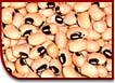 Haricots oeil noir