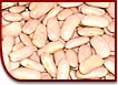 Haricots blancs